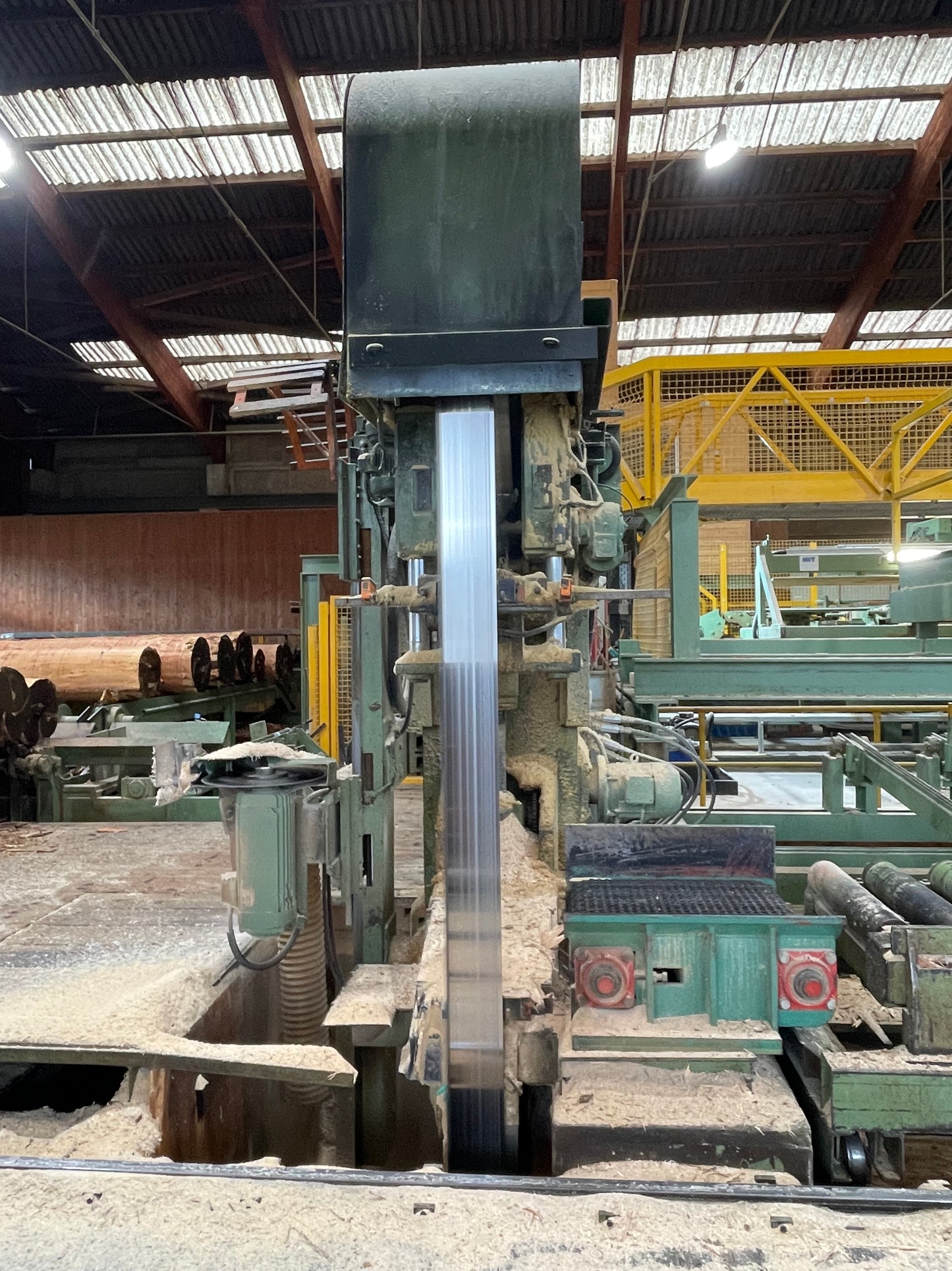 Canali log band saw including Braun Canali clamping carriage